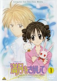 Full Moon wo Sagashite